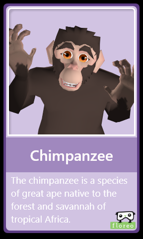 FLA_Chimp