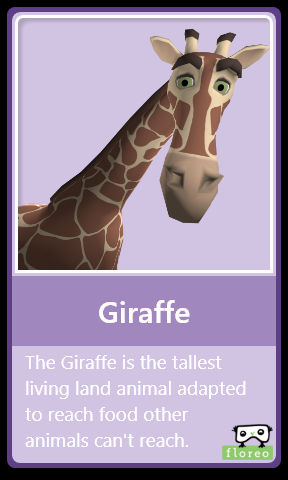 FLA_Giraffe